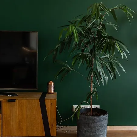 Apartment New Spacious With View Kosice