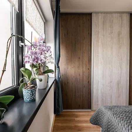 New Spacious With View شقة *