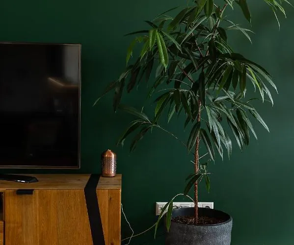 דירה New Spacious With View קושיצה